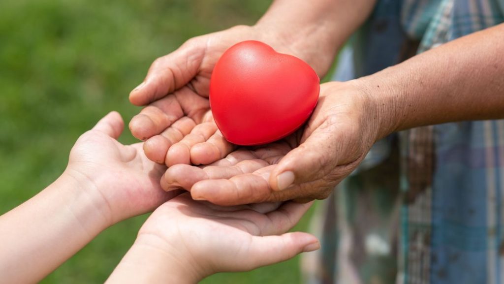 Transplante de órgãos crescem 25% no Rio de Janeiro em 2024