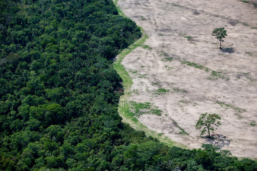 Brasil se opõe à lei antidesmatamento da União Europeia e pede que não seja colocada em prática