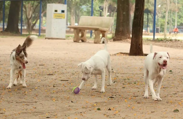 CNN Brasil