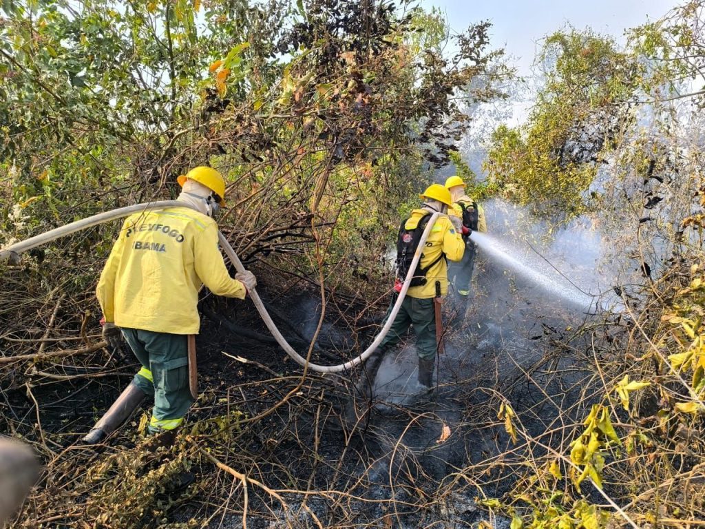 Fogo, fumaça e “chuva preta“ atingem países vizinhos do Brasil