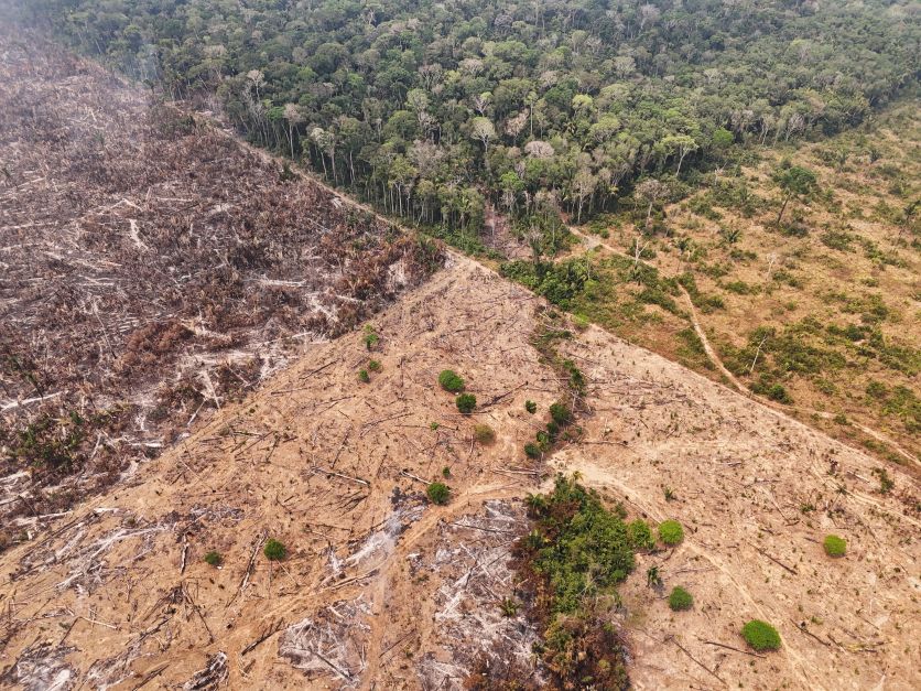 Quase 40% da parte mais vital da floresta amazônica não está protegida, aponta ONG
