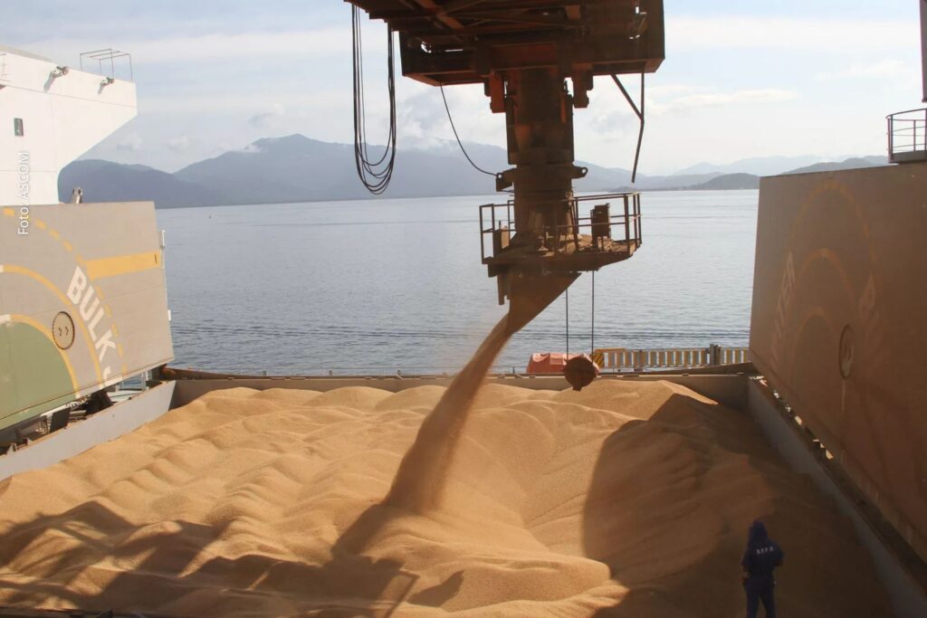 Exportações do Brasil para EUA caem 25,5% e vendas para China sobem 17,4%, aponta MDIC