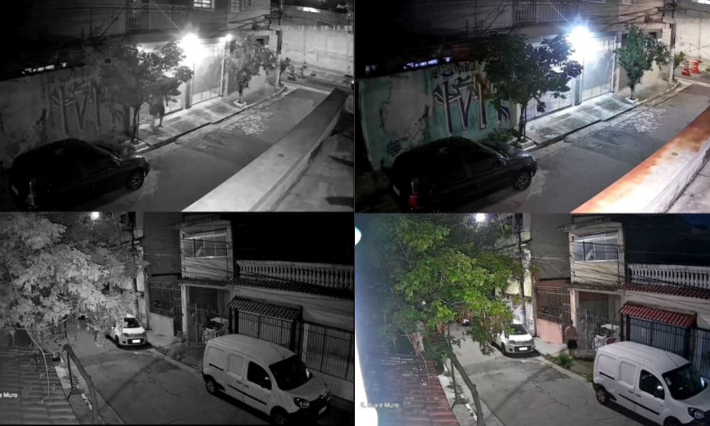 Vídeo mostra momento em que homem envenena cachorro em São Paulo