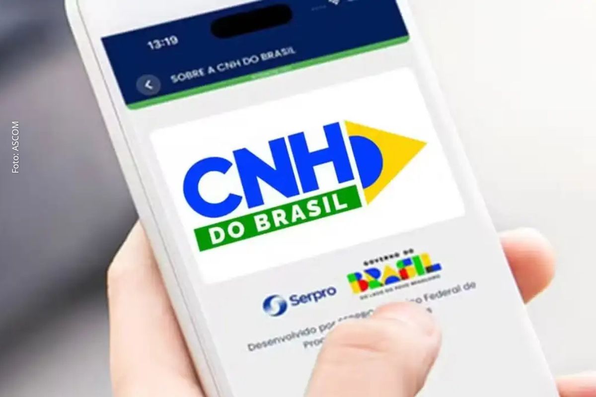 Câmara dos Deputados aprova medida provisória que prevê renovação automática da CNH para motoristas no RNPC