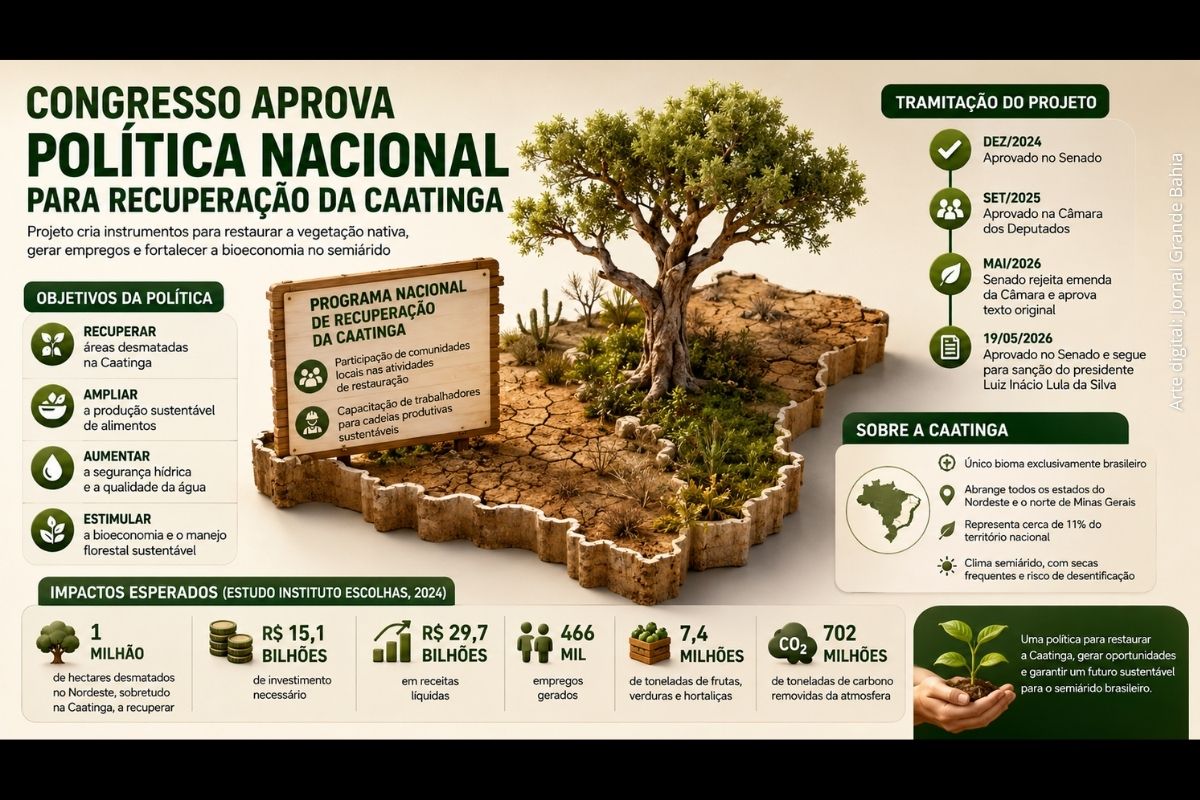 Congresso aprova política inédita para recuperação da Caatinga e projeto segue para sanção do presidente Lula