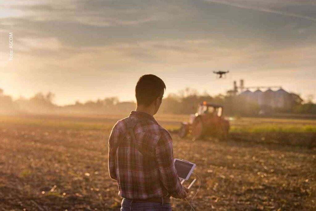 Medida provisória libera R$ 13,285 bilhões para crédito agrícola, Desenrola Adimplentes, Fies e apoio a produtores do Nordeste