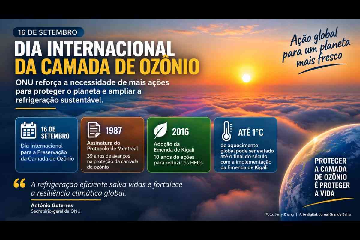 Dia Internacional da Camada de Ozônio: ONU defende mais ações para ampliar a refrigeração sustentável