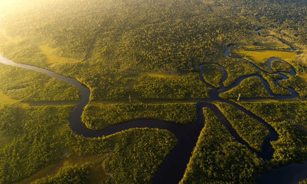 Amazônia registra menor desmatamento da série histórica em 2025, aponta MapBiomas