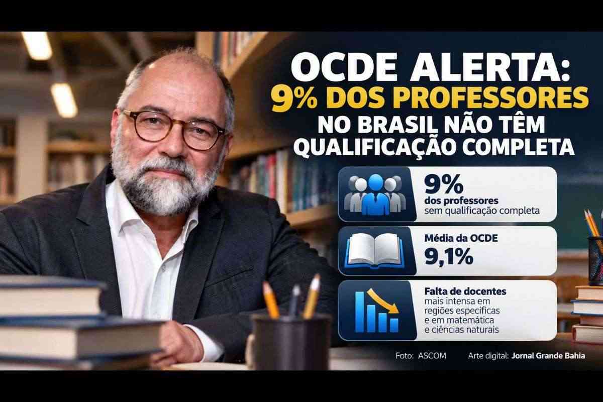OCDE aponta que 9% dos professores da educação básica pública no Brasil não têm qualificação completa